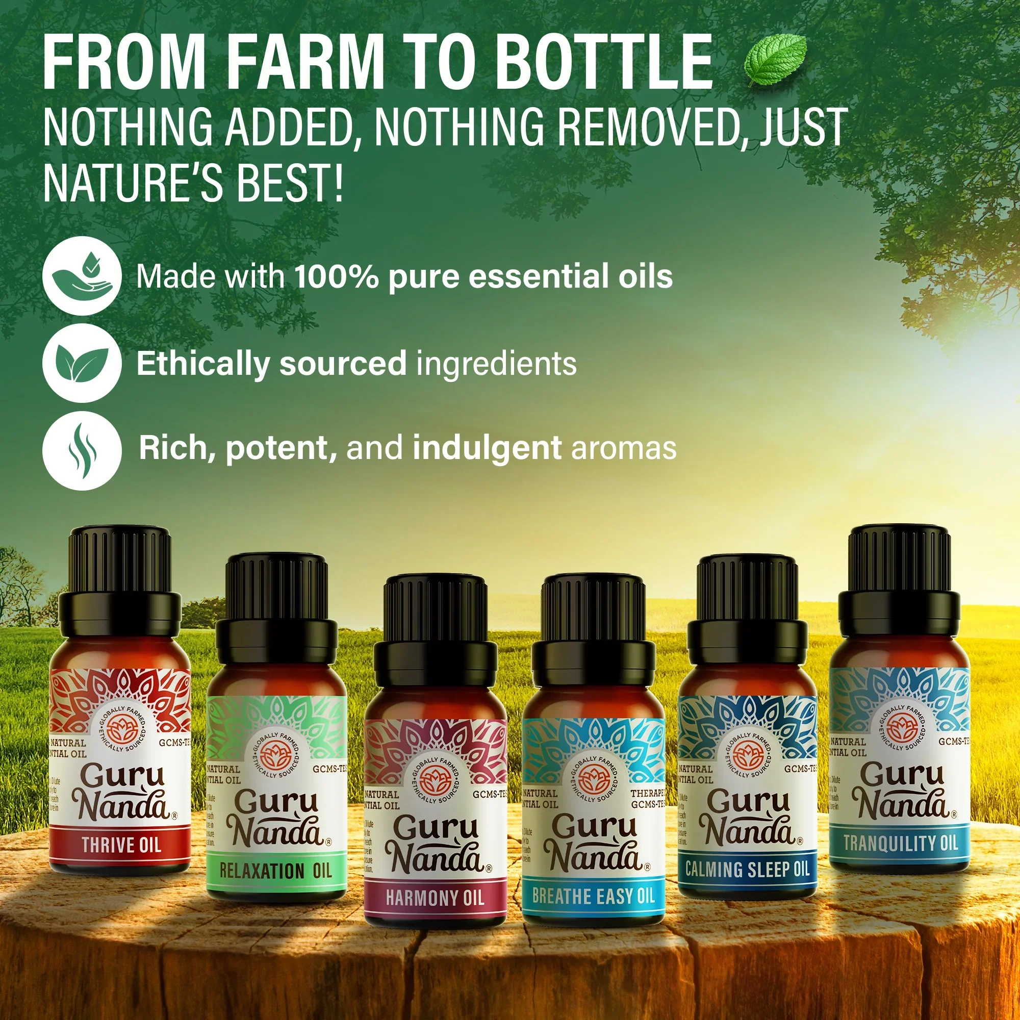 6 Essential Oil Blends Set, 10 ML - Image 3