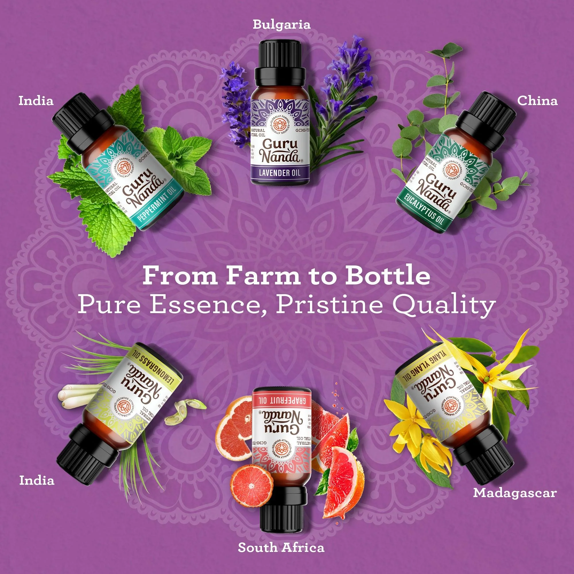 6 Essential Oils Single Notes Set, 10 ML - Image 4