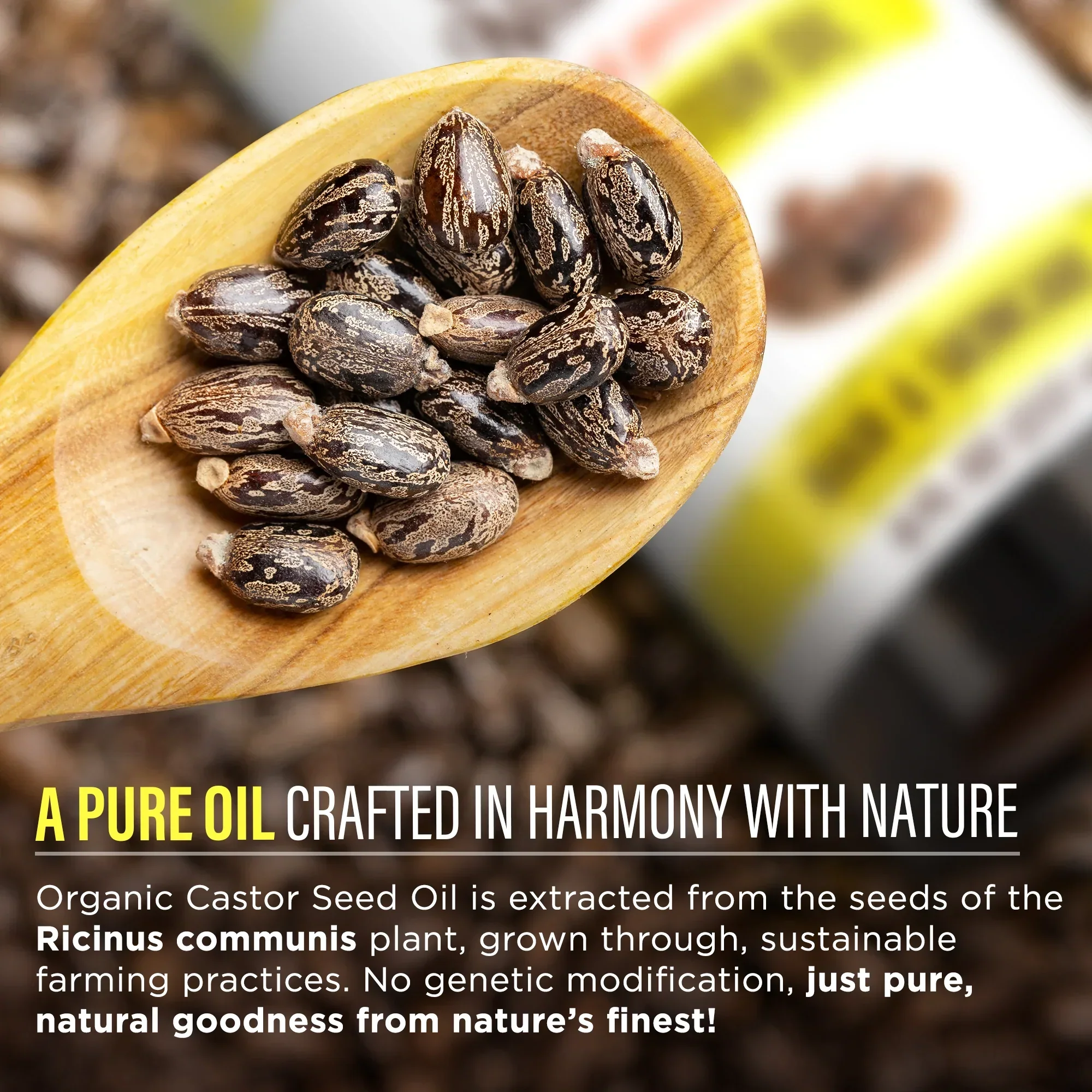 Organic Castor Oil – 8 oz - Image 3