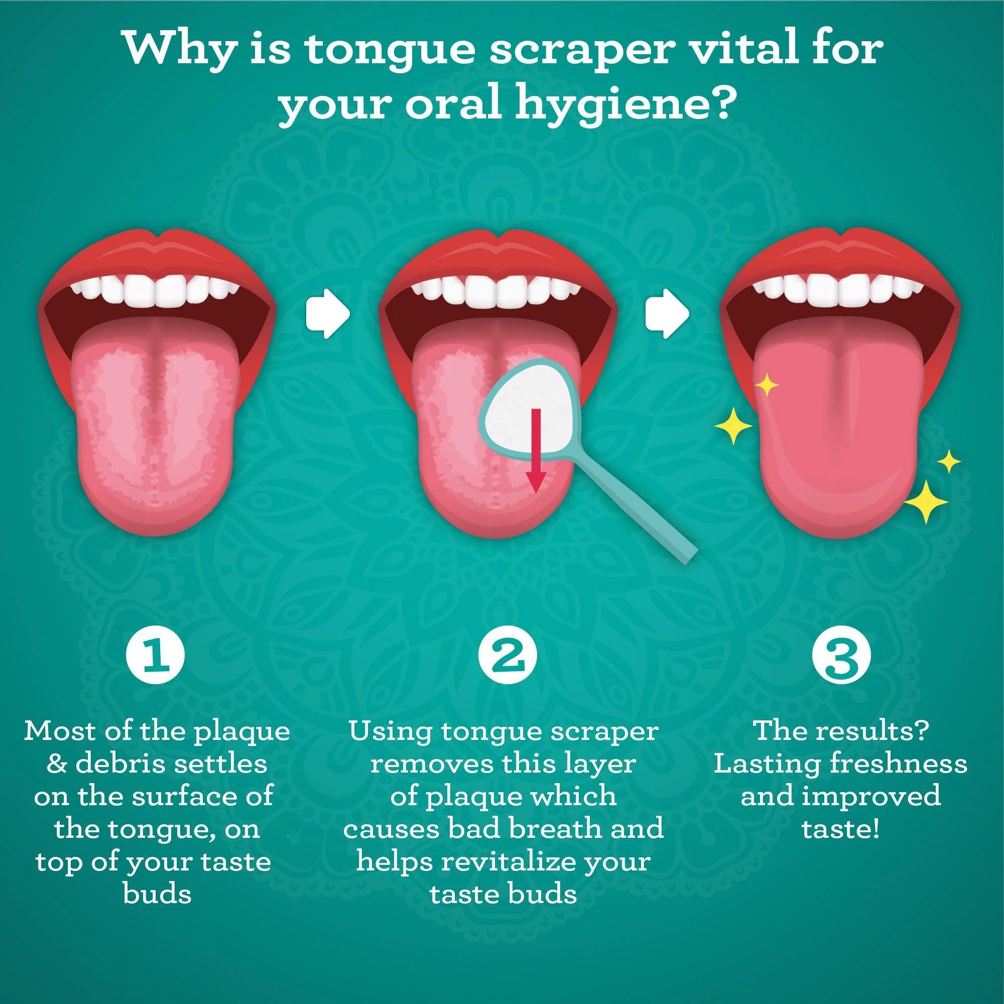Tongue Scraper Variety Pack with Travel Case - Image 3
