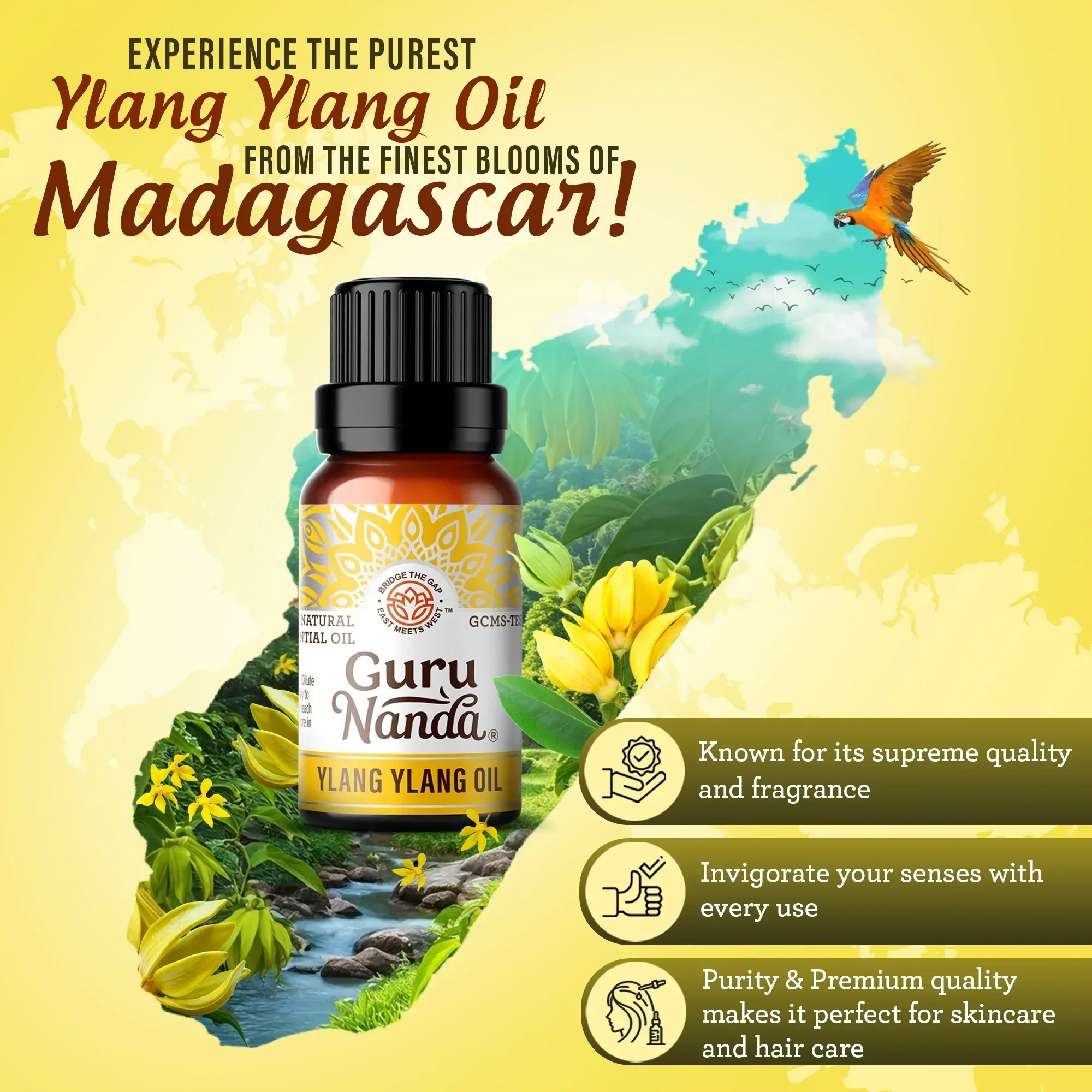 Ylang Ylang Essential Oil, 10mL - 2-Pack - Image 3